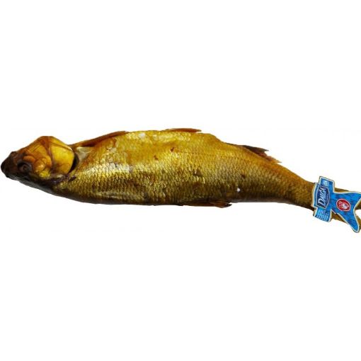 DALĞA SYOMQA XERBET S/H KQ şəkli