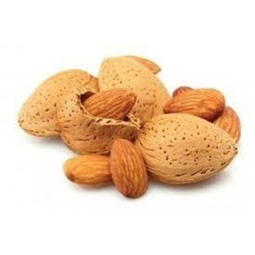 BADAM QABIQLI KQ şəkli