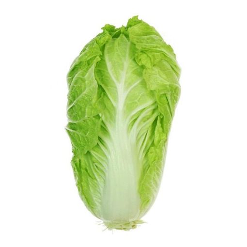 ÇİN KƏLƏMİ şəkli