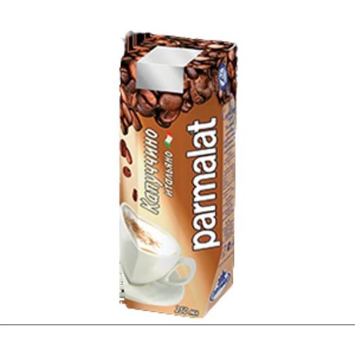 PARMALAT KOKTEYL 250 ML CAPPUCINO şəkli