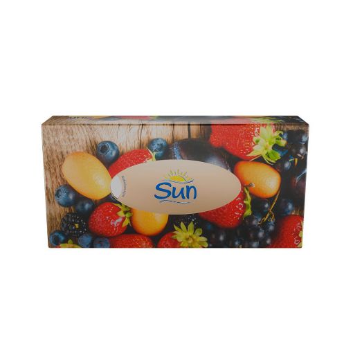 SUN QUTU DƏSMAL MEYVE 21X20 SM şəkli