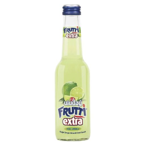 ULUDAĞ FRUTTİ MEYVƏ SUYU 250 ML YAŞIL şəkli